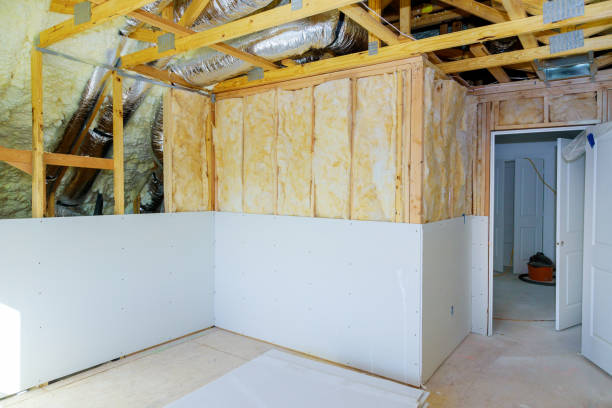 Best Insulation Repair Services  in Corcoran, MN