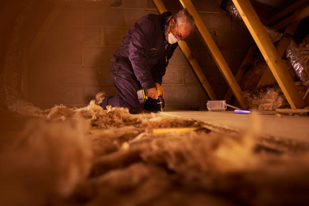 Best Professional Insulation Contractor  in Corcoran, MN